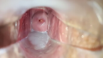 Ejacule Dentro Da Vagina Com Close-Up De Espéculo