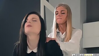 Glamorous Lesbians Indulge In Rough Sex With Toys And Strapon